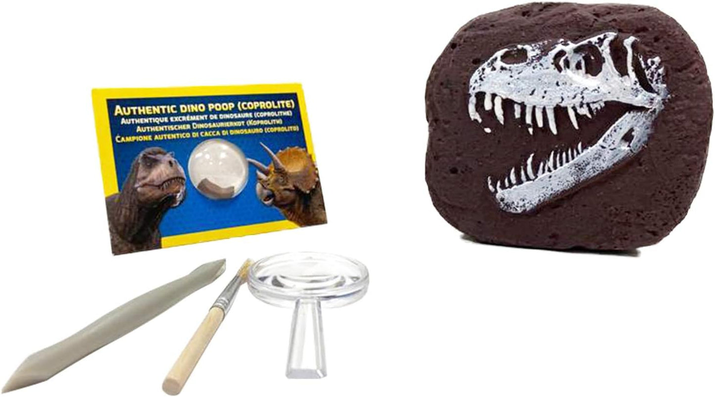 National Geographic Dinosaur Dig Kit