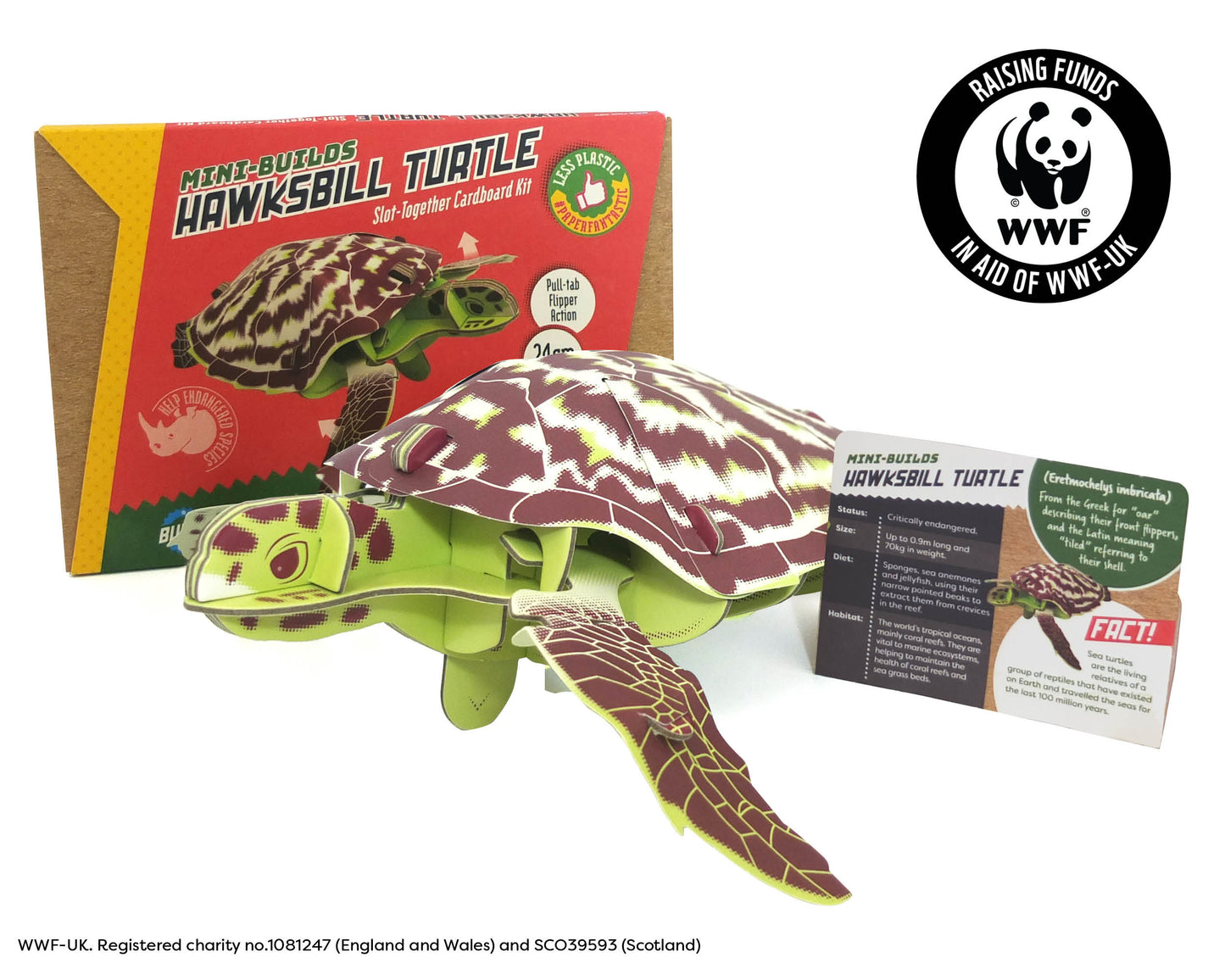 Hawksbill Turtle - Build Your Own