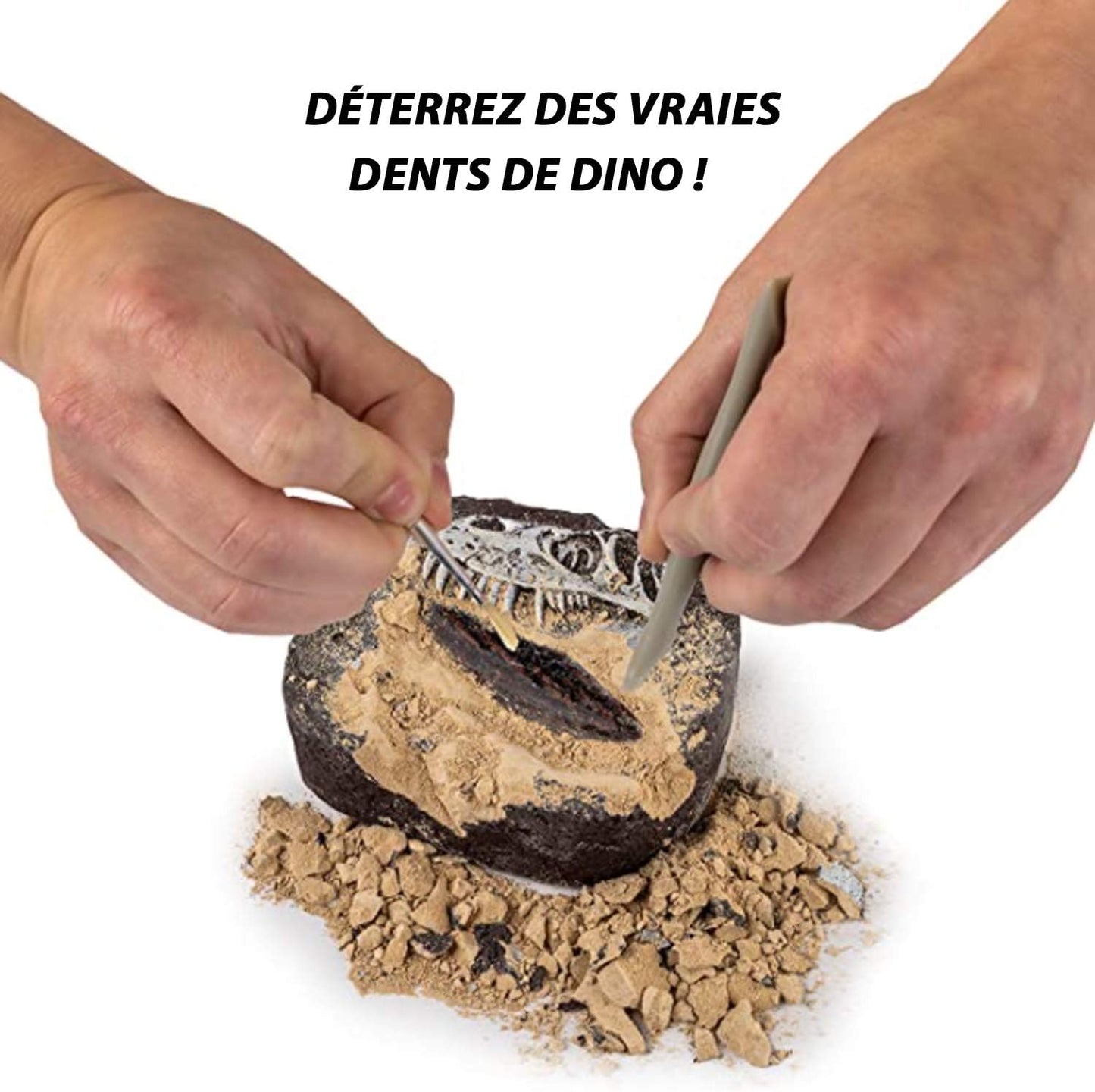 National Geographic Dinosaur Dig Kit