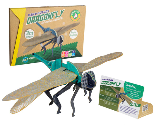 Dragonfly - Build Your Own