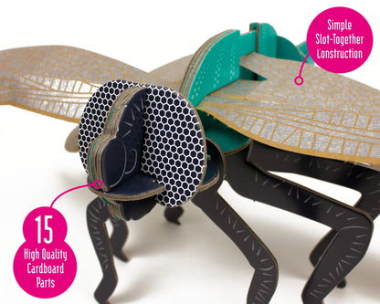 Dragonfly - Build Your Own